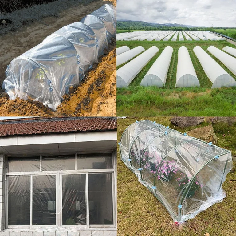 3m X 6m Gewächshaus Folie, Gewächshausfolie Winterfest, Folie für gewächshaus, Polyethylenfolie Transparent Gewächshausfolie, für Gartenarbeit Tomatenhaus Treibhaus Folie – Bild 2