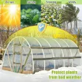 3m X 6m Gewächshaus Folie, Gewächshausfolie Winterfest, Folie für gewächshaus, Polyethylenfolie Transparent Gewächshausfolie, für Gartenarbeit Tomatenhaus Treibhaus Folie - Thumbnail 3