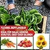 Premium Hochbeet - Pflanzbeet Holz mit Innenvlies – Garten Hochbeet – erweiterbar und stapelbar – witterungsbeständig – Blumenkasten für Terrasse Balkon – Pflanzkasten (3X Pflanzrahmen) - Thumbnail 2