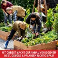 Onbest Premium Hochbeet - Pflanzbeet Holz mit Innenvlies – Garten Hochbeet – erweiterbar und stapelbar – witterungsbeständig – Blumenkasten für Terrasse Balkon – Pflanzkasten (1x Pflanzrahmen) - Thumbnail 8