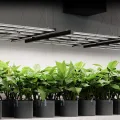 AC Infinity IONFRAME EVO10 LED Grow Light 1000 W für 150 x 150 cm Grow Zelte, mit 3710 LM301H EVO LEDs und Vollspektrum-Licht für Indoor-Grow & Gewächshaus - Thumbnail 15