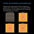 AC Infinity IONFRAME EVO10 LED Grow Light 1000 W für 150 x 150 cm Grow Zelte, mit 3710 LM301H EVO LEDs und Vollspektrum-Licht für Indoor-Grow & Gewächshaus - Thumbnail 6