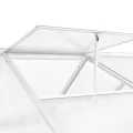 HOMIUSE Gewächshaus Aluminium 421x190x195 cm 15,6 m³ Groß Glas Anlehngewächshaus Winterfest Heizung Tomatenhaus Glashaus Smart Garden - Thumbnail 5