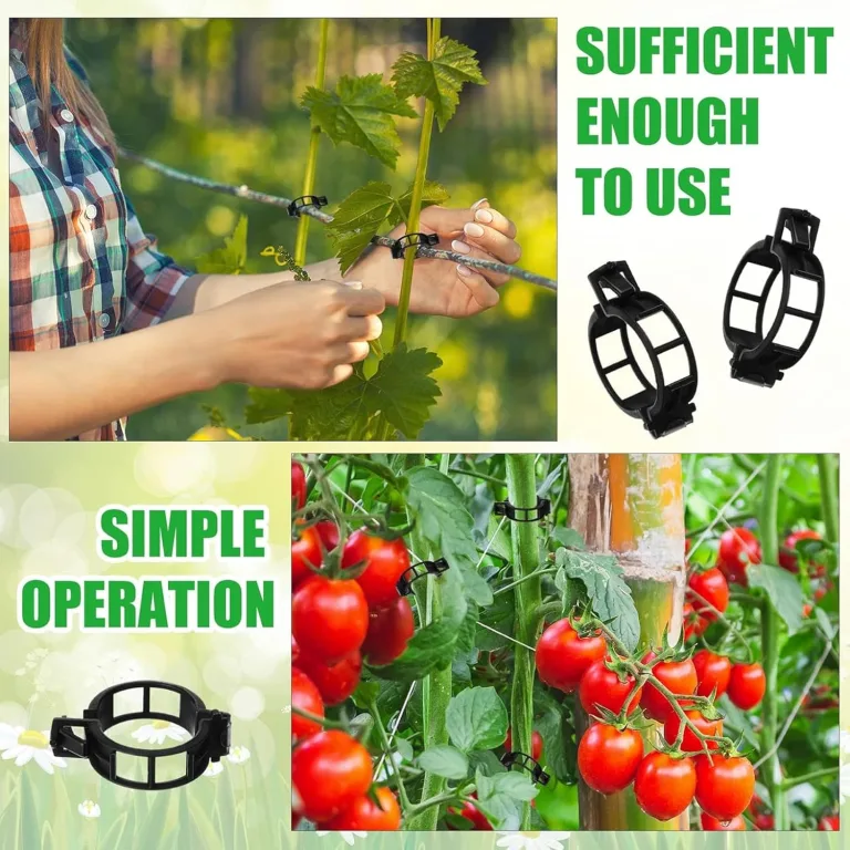 250 Stück Pflanzenclips,Tomatenclips Verbinden,Kunststoff Tomatenclips,Pflanzenklammern,Ranken Clips,Pflanzen Sicherung,Tomatenclips Verbinden Pfeffer Gurke Reben Ideal,für Pflanzen Sicherung – Bild 6