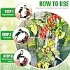 250 Stück Pflanzenclips,Tomatenclips Verbinden,Kunststoff Tomatenclips,Pflanzenklammern,Ranken Clips,Pflanzen Sicherung,Tomatenclips Verbinden Pfeffer Gurke Reben Ideal,für Pflanzen Sicherung - Thumbnail 2