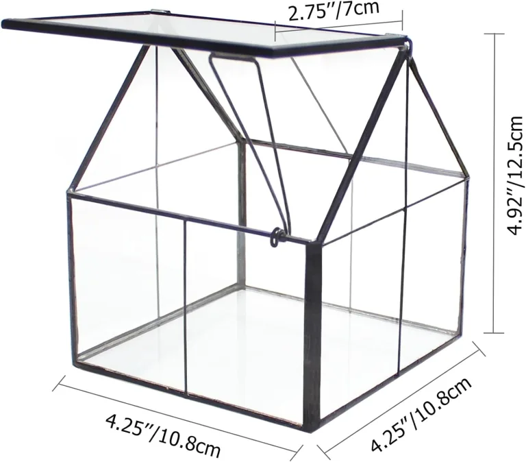 NCYP 10,8x10,8x12,5 cm Geometrisches Mini Pflanzenterrarium aus Glas mit Deckel, Schwarz Übertopf für kleine Sukkulenten Luftpflanzen, Handgefertigt Heimgarten Büro Tischdekoration (Nur Terrarium) – Bild 5