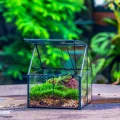 NCYP 10,8x10,8x12,5 cm Geometrisches Mini Pflanzenterrarium aus Glas mit Deckel, Schwarz Übertopf für kleine Sukkulenten Luftpflanzen, Handgefertigt Heimgarten Büro Tischdekoration (Nur Terrarium) - Thumbnail 7