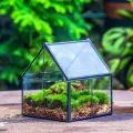 NCYP 10,8x10,8x12,5 cm Geometrisches Mini Pflanzenterrarium aus Glas mit Deckel, Schwarz Übertopf für kleine Sukkulenten Luftpflanzen, Handgefertigt Heimgarten Büro Tischdekoration (Nur Terrarium) - Thumbnail 9