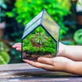 NCYP 10,8x10,8x12,5 cm Geometrisches Mini Pflanzenterrarium aus Glas mit Deckel, Schwarz Übertopf für kleine Sukkulenten Luftpflanzen, Handgefertigt Heimgarten Büro Tischdekoration (Nur Terrarium) - Thumbnail 2