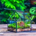 NCYP 10,8x10,8x12,5 cm Geometrisches Mini Pflanzenterrarium aus Glas mit Deckel, Schwarz Übertopf für kleine Sukkulenten Luftpflanzen, Handgefertigt Heimgarten Büro Tischdekoration (Nur Terrarium) - Thumbnail 4