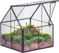 NCYP 10,8x10,8x12,5 cm Geometrisches Mini Pflanzenterrarium aus Glas mit Deckel, Schwarz Übertopf für kleine Sukkulenten Luftpflanzen, Handgefertigt Heimgarten Büro Tischdekoration (Nur Terrarium) - Thumbnail 1