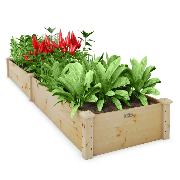 COSTWAY Hochbeet Gartenbeet Holz, 240 x 60 x 25 cm, Pflanzkasten für Gemüse, Blumen, Kräuter, Früchte, Blumenkasten Blumenbeet Kräuterbeet Pflanzbeet, für Hinterhof, Garten, Rasen (Natur) – Bild 9