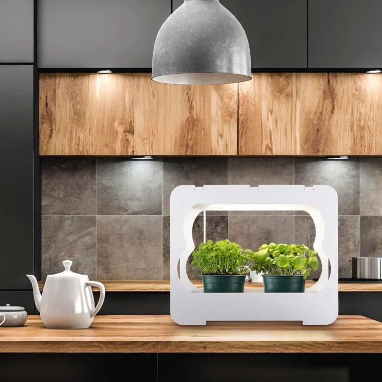 Xavax LED Smart Garden Home Gewächshaus Box klein mit Lampe für Balkon, als Anzuchtkasten für Hochbeet oder Outdoor Garten Pflanzen, Mini Gewächshaus mit Wachstumslampen für Pflanzen 3 Töpfe Ø 10 cm – Bild 6
