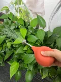 Allrounda Gießbrause Ball Sprüher Edelstahl Ausguss, Gießkannen Alternative für kleine Pflanzen Stecklinge Blumen Setzlinge (Terracotta/Rot) - Thumbnail 3