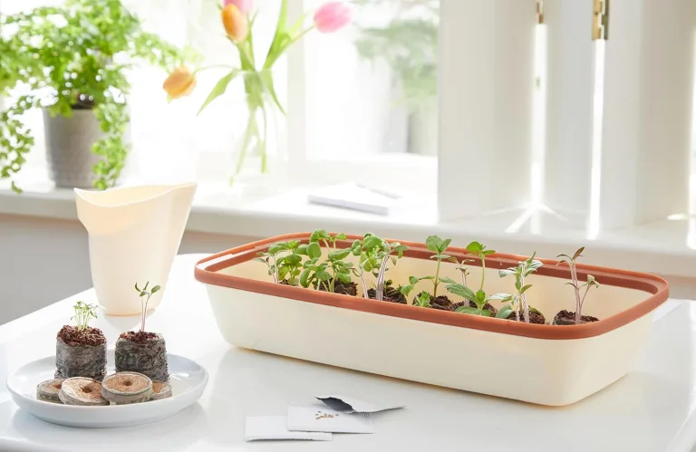 FLORTUS Set Zimmergewächshaus BoQube M Kupfer & Kokos Quelltöpfe (24 STK) | Gewächshaus & Quelltabletten aus Kokoserde Anzuchterde | Geschenkset – Bild 3