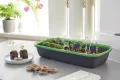 FLORTUS Set Zimmergewächshaus BoQube M Kupfer & Kokos Quelltöpfe (24 STK) | Gewächshaus & Quelltabletten aus Kokoserde Anzuchterde | Geschenkset - Thumbnail 4