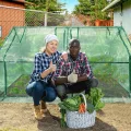 Mini Gewächshaus Tomatengewächshaus 180x90x90cm Foliengewächshaus Tomatenhaus Frühbeet Treibhaus mit Fenster & Tür HDPE Regenschutz UV-beständig Frostbeständig (Grün - Wärmeabdeckung) - Thumbnail 8