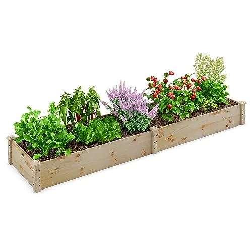 HOMASIS Hochbeet aus Holz, Pflanzkasten aus Tannenholz, Blumenkasten mit offnen Boden, Gartenbeet für Kräuter, Gemüse, Pflanzen, Pflanzenbeet für Garten, Balkon, Terrasse, 240 x 60 x 25 cm, Natur – Bild 10