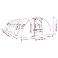 vidaXL Gewächshaus, Foliengewächshaus mit Stahlrahmen, Tomatengewächshaus mit Reißverschlusstür Fenstern, Treibhaus Folientunnel Frühbeet, Grün 32m² 8x4x2m - Thumbnail 3