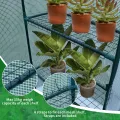 JUNGLE STONE Mini-Gewächshaus – 4 Etagen, wasserdichte verstärkte PE-Kunststoffabdeckung, aufrollbare Doppelreißverschluss-Tür, stabiler Stahlrahmen für Garten, Outdoor & Indoor – kein Werkzeug, - Thumbnail 7