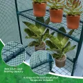 JUNGLE STONE Begehbares Gewächshaus mit Stahlrahmen und verstärkter PE-Kunststoffabdeckung, 3 Etagen, 4 verdrahtete Regale, Gewächshaus, Pflanzengärtnerei für kleine Gärten, Terrassen, perfekt für den - Thumbnail 7