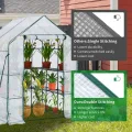 JUNGLE STONE Begehbares Gewächshaus mit 10 Regalböden, verstärkte PE-Kunststoffabdeckung mit stabilem Stahlrahmen, Gewächshaus/Pflanzschule für Garten, Terrasse oder Räume, Größe, einfache Montage - Thumbnail 3