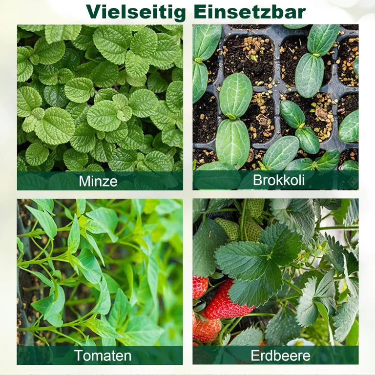Mini Gewächshaus Anzucht, 3 Stück Zimmergewächshaus Anzuchtkasten, Setzling Starter Tabletts, Treibhaus Anzuchtschalen mit Deckel Belüftung – Bild 6