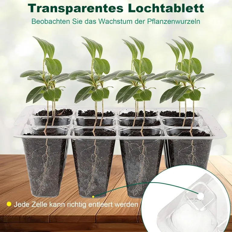 Mini Gewächshaus Anzucht, 3 Stück Zimmergewächshaus Anzuchtkasten, Setzling Starter Tabletts, Treibhaus Anzuchtschalen mit Deckel Belüftung – Bild 5
