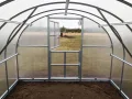 Gewächshaus KLASIKA 18 (3x6m) mit fundamenten und 6mm Polycarbonat - Thumbnail 3