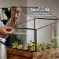 Modernes Gewächshaus als Deko, für Anzucht & für Kräuter | Aus Glas, recyceltem Holz und Metall | Zimmergewächshaus als Dekoration | 31 x 26 x 29 cm | - Thumbnail 4