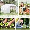 Outsunny Foliengewächshaus, 3,5 x 3 x 3 m Gewächshaus, Tomatenhaus mit UV-Schutz, Mesh-Fenster, Winddichtes Treibhaus für Garten, Balkon, Metall, Weiß – Bild 2