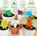 160 Stück Pflanzenschilder aus Premium Kunststoff - 100 X Weiß + 60 X Bunt, Pflanzenstecker zum Beschriften wetterfest, Stecketiketten Pflanzen Für Gemüse, Kräuter, blumen - Thumbnail 2