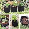 König Design 30x 10L Pflanzsack aus Vlies Stoff - 30er Set 10L Pflanztaschen aus 300 g/m² Filz & Vliesstoff - Pflanzgefäß Pflanzbeutel für Balkon Terrasse Gewächshaus & Garten – Bild 3