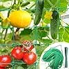 Rankgitter 2 x 3 m mit großem Masche, Gurkennetz, Rankgitter für Kletterpflanzen – ideal für Gurken, Tomaten, Gärten und Gewächshäuser - Thumbnail 2