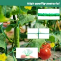 Rankgitter 2 x 3 m mit großem Masche, Gurkennetz, Rankgitter für Kletterpflanzen – ideal für Gurken, Tomaten, Gärten und Gewächshäuser - Thumbnail 6
