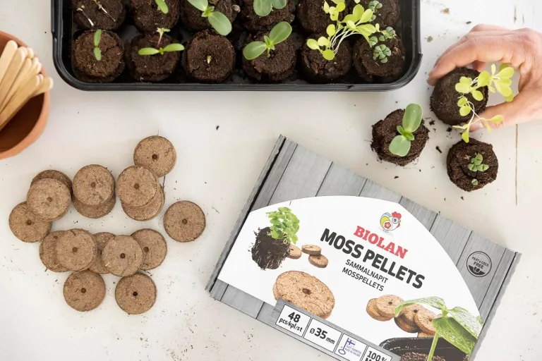 Biolan Anzucht Gewächshaus. Mini Gewächshaus Indoor. Pro Kit für 24 Saaten mit 48 stck Torf-freien quelltabletten. Ideal für zimmergewächshaus – Bild 5