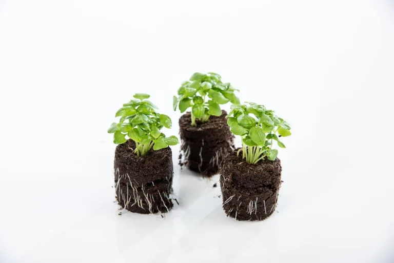 Biolan Anzucht Gewächshaus. Mini Gewächshaus Indoor. Pro Kit für 24 Saaten mit 48 stck Torf-freien quelltabletten. Ideal für zimmergewächshaus – Bild 6