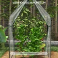 Outsunny Foliengewächshaus, Gewächshaus, Treibhaus mit Doppeltür, Winddichtes Tomatenhaus, Pflanzenhaus für Garten, PE, Transparent, 90 x 90 x 145 cm - Thumbnail 5
