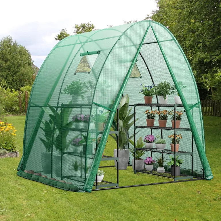 COSTWAY Foliengewächshaus Gewächshaus, Treibhaus mit Allwetter-PE-Abdeckung, Rolltür und Fenster, Tomatengewächshaus Tomatenhaus, Pflanzenhaus für Tomaten & Topfpflanzen (181x181x200 cm, Grün) – Bild 7