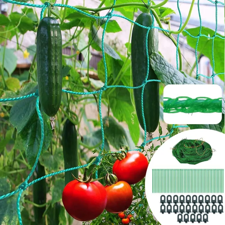Ranknetz für Kletterpflanzen,2M X 5M Ranknetz für Gurken,Tomaten Rankhilfen für Kletterpflanzen,Ranknetz Gewächshaus,Ranknetz Zubehör,mit 25 Gewächshausclips und 50 Pflanzenbinder. – Bild 5