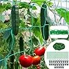 Ranknetz für Kletterpflanzen,2M X 5M Ranknetz für Gurken,Tomaten Rankhilfen für Kletterpflanzen,Ranknetz Gewächshaus,Ranknetz Zubehör,mit 25 Gewächshausclips und 50 Pflanzenbinder. - Thumbnail 2
