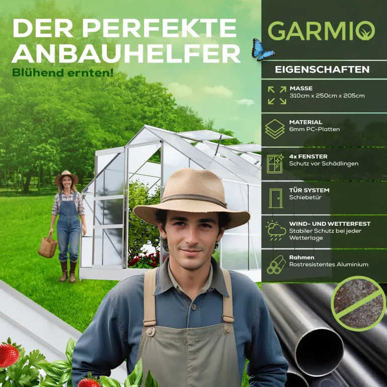 Gewächshaus Arona 310x250cm für den Garten, Alu Frühbeet inklusive Fundament, 4 Dachfenster Treibhaus Aufzucht Pflanzenhaus Tomatenhaus 7,75m² UV-Schutz – Bild 3