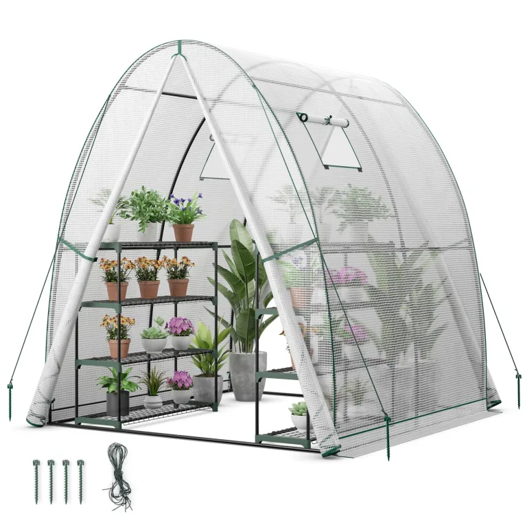 GOPLUS Gewächshaus, Tomatengewächshaus mit PE-Abdeckung & Metallrahmen, begehbares Foliengewächshaus mit Aufrollfenster & Aufrolltor, Treibhaus für Blumen, Pflanzen, 181 x 181 x 200 cm (Transparent) – Bild 1