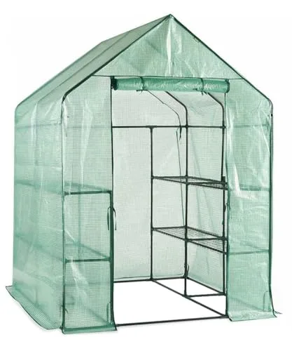 Escala Gewächshaus Treibhaus Glashaus Frühbeet (143 x 143 x 195 cm) Grün – Bild 7