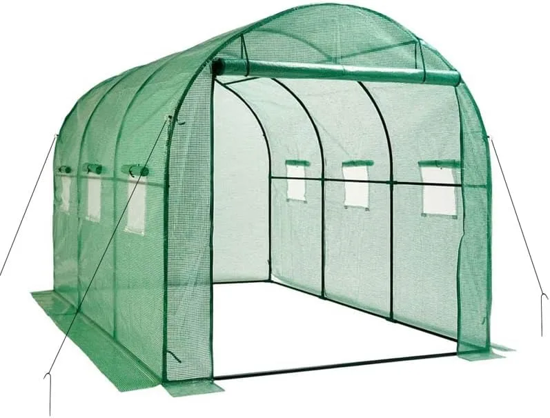 Escala Gewächshaus Treibhaus Glashaus Frühbeet (200 x 300 x 200 cm) Grün - Bild 1