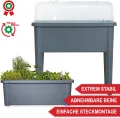 Hochbeet/Frühbeet – mit Abdeckhaube/Wasseranzeige – aus robustem Kunststoff – ideal für Garten/Terrasse/Balkon – Kräuterhochbeet zur Anzucht – Pflanzkasten inkl. Gartenwerkzeug (Grau) - Thumbnail 5
