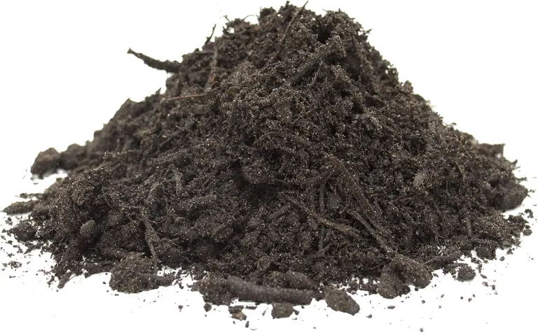 Floragard Bio Hochbeet-Erde 80 L (2×40 L) – torfreduzierte, lockere Gemüseerde mit hoher Wasserspeicherung im Hochbeet – nährstoffreiche Basis für Starke Wurzeln & kräftiges Wachstum – Bild 4
