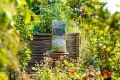 Floragard Bio Hochbeet-Erde 80 L (2×40 L) – torfreduzierte, lockere Gemüseerde mit hoher Wasserspeicherung im Hochbeet – nährstoffreiche Basis für Starke Wurzeln & kräftiges Wachstum - Thumbnail 5