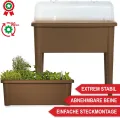 Hochbeet/Frühbeet – mit Abdeckhaube/Wasseranzeige – aus robustem Kunststoff – ideal für Garten/Terrasse/Balkon – Kräuterhochbeet zur Anzucht – Pflanzkasten inkl. Gartenwerkzeug (Coffee) - Thumbnail 5