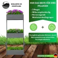 Vertikalbeet Petra Hochbeet Holz 3 Etagen Blumentreppe Kräuterbeet Frühbeet Pflanzkasten inkl. Gartenvlies - Stufenbeet 66 x 49 x 140 cm für Terrasse Balkon & Wintergarten - Thumbnail 5